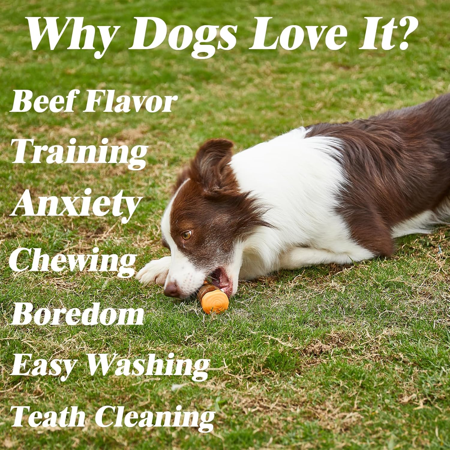 Indestructible Dog Bone Chew Toy - Real Beef Flavor for Aggressive Chewers