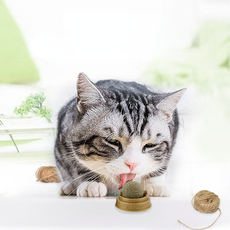 Catnip Balls Cat Treats - Rotary Teeth Cleaning & Molar Toy