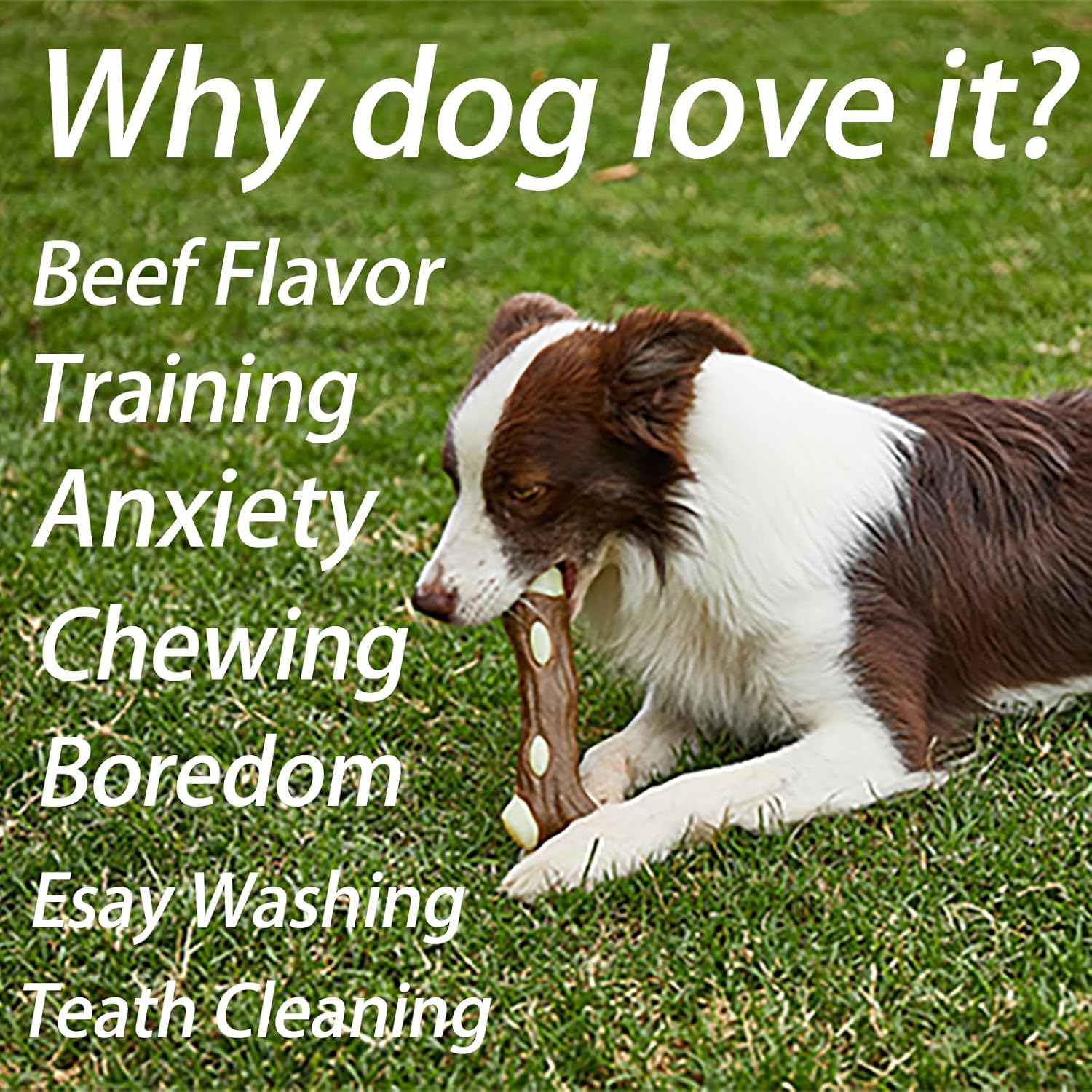 Indestructible Dog Bone Chew Toy - Real Beef Flavor for Aggressive Chewers