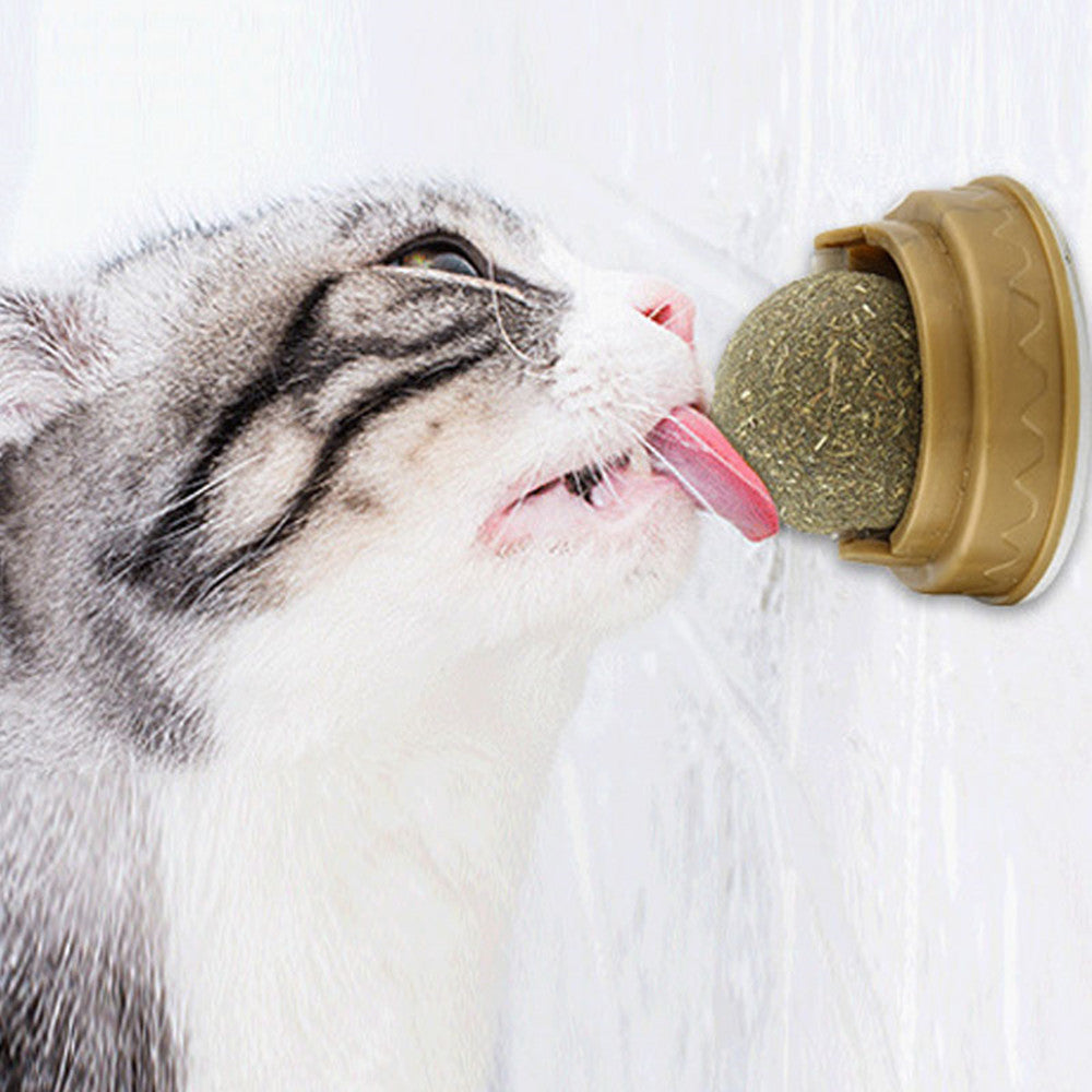 Catnip Balls Cat Treats - Rotary Teeth Cleaning & Molar Toy