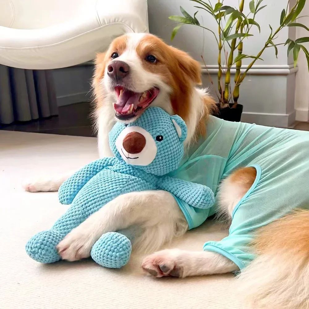 Squeaky Plush Bear Dog Toy - Soft Chew & Training Toy for Puppies